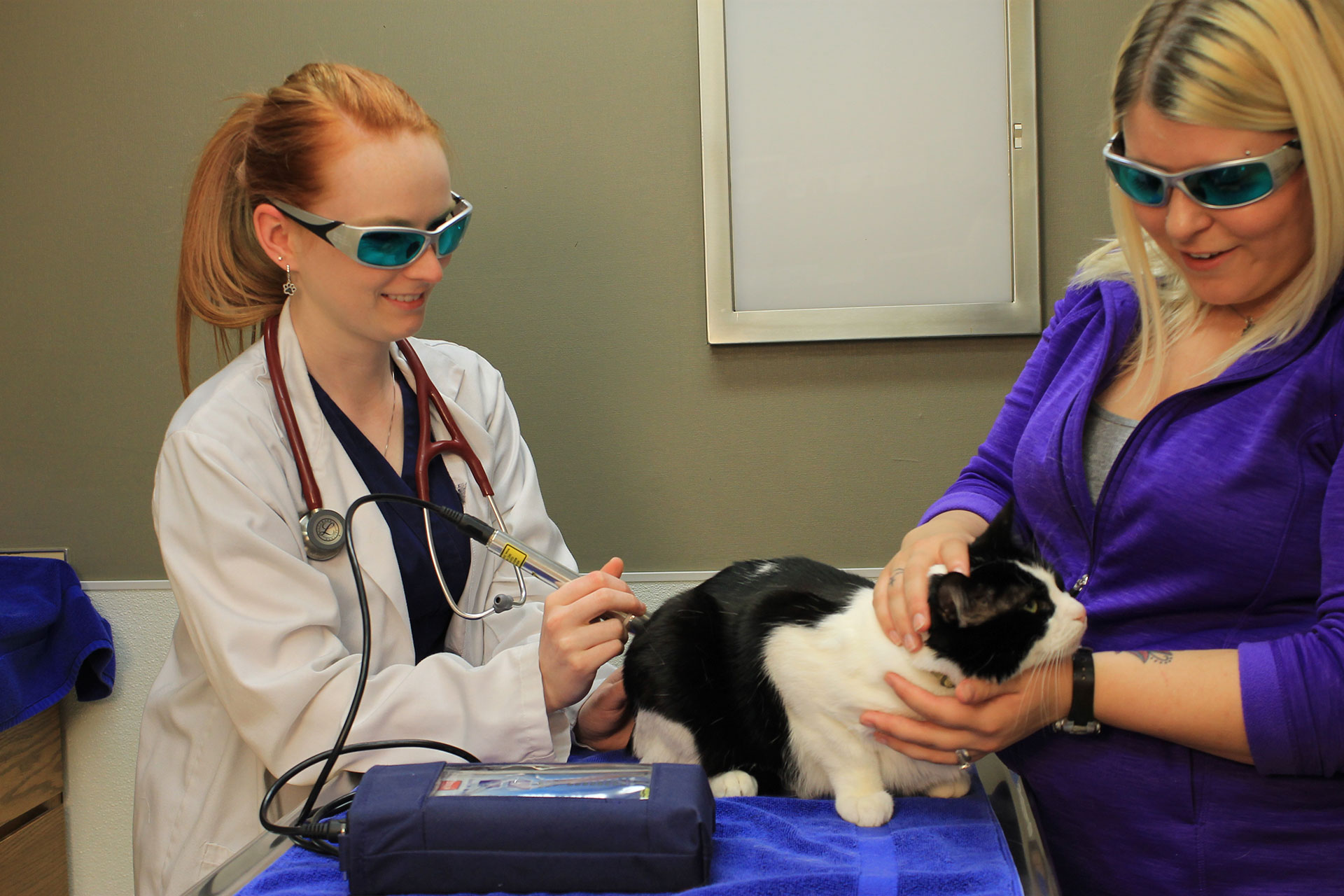 Laser Therapy Muskegon, MI 